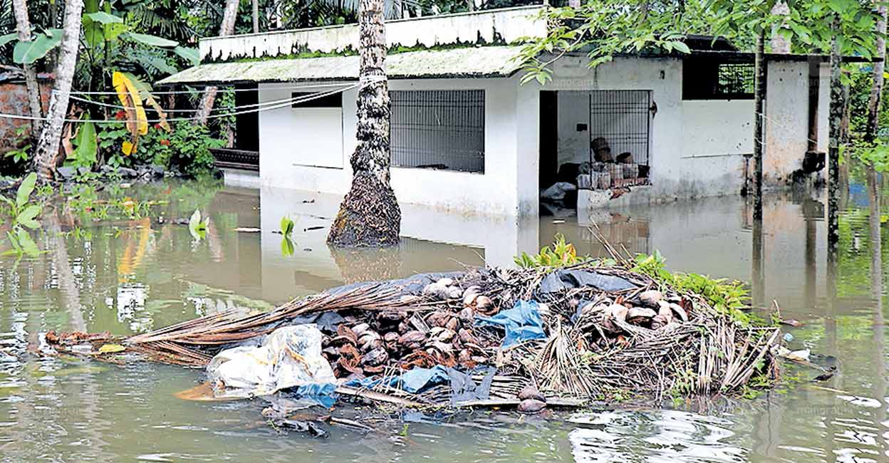 houses-flooded-waterlogging.jpg