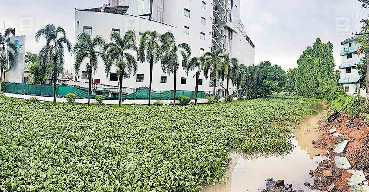 idappally-canal-restoration.jpg