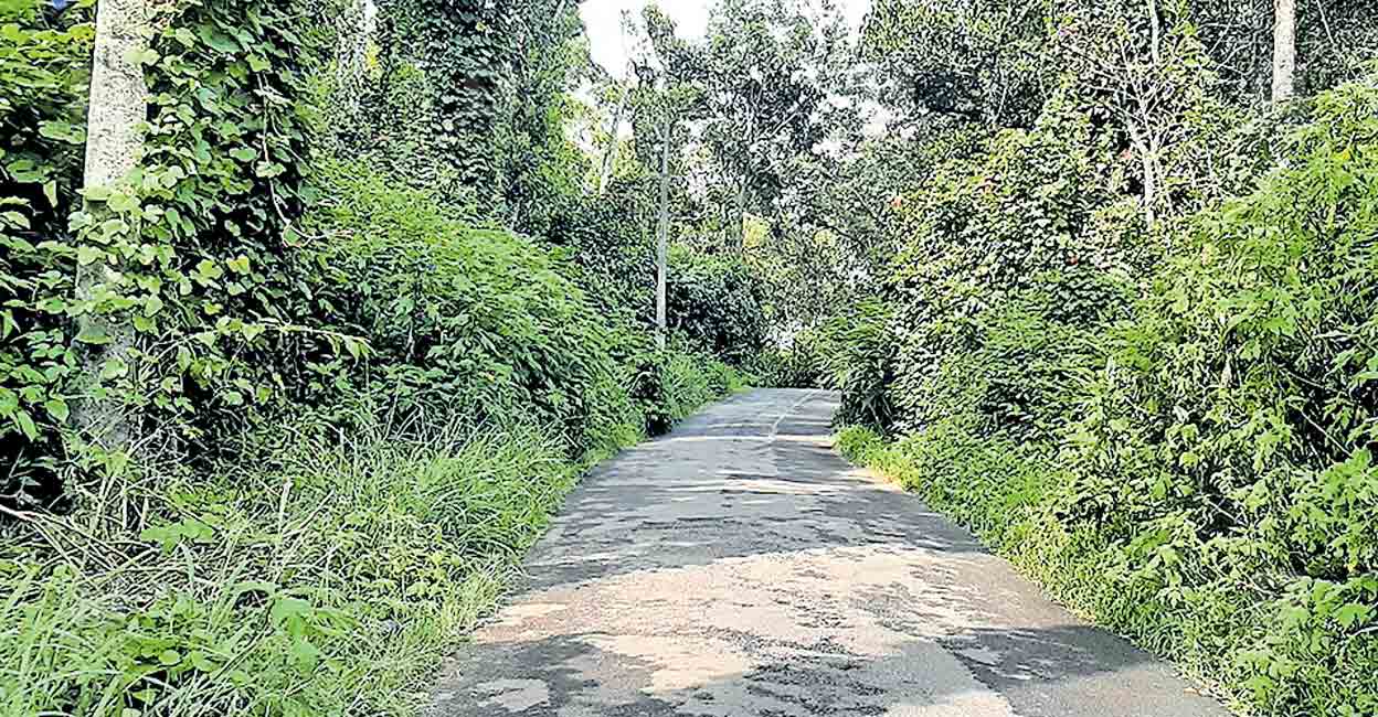 idukki-anavilasam-pullumedu-road.jpg