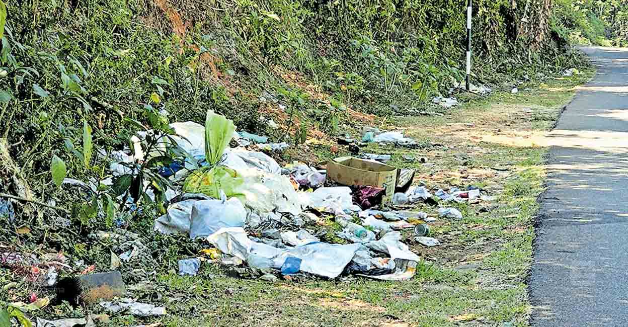 idukki-munnar-way-waste.jpg