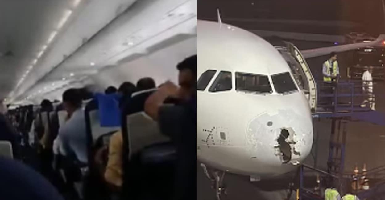 indigo-airlines.jpg