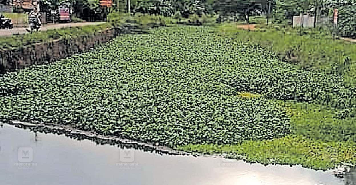 kannukali-chaal.jpg