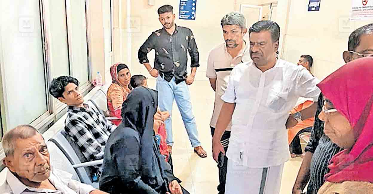 kannur-stray-dog-attack.jpg