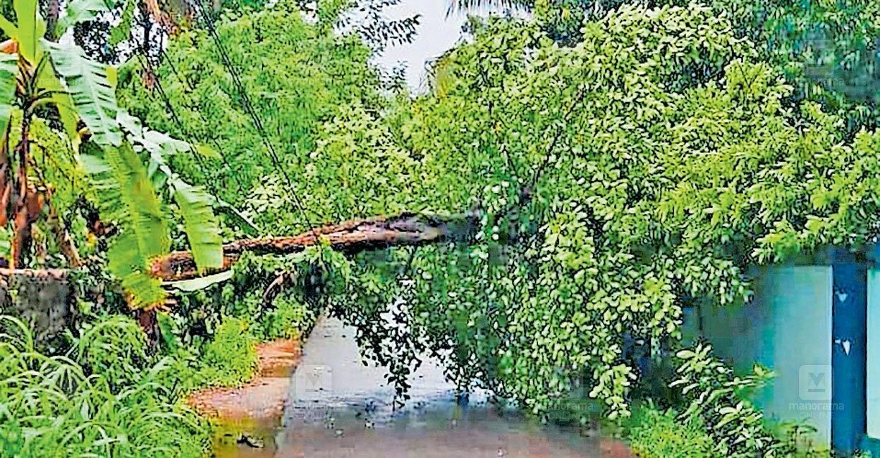 kasargod-electricity-failure-storm-damage.jpg