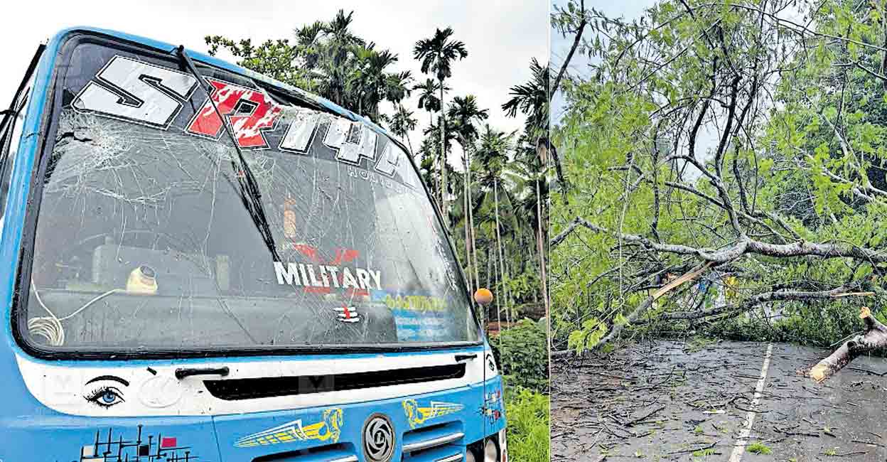 kasargod-tree-fall-on-bus.jpg