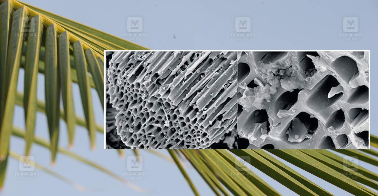 klm-amrita-research-activated-carbon-breakthrough.jpg