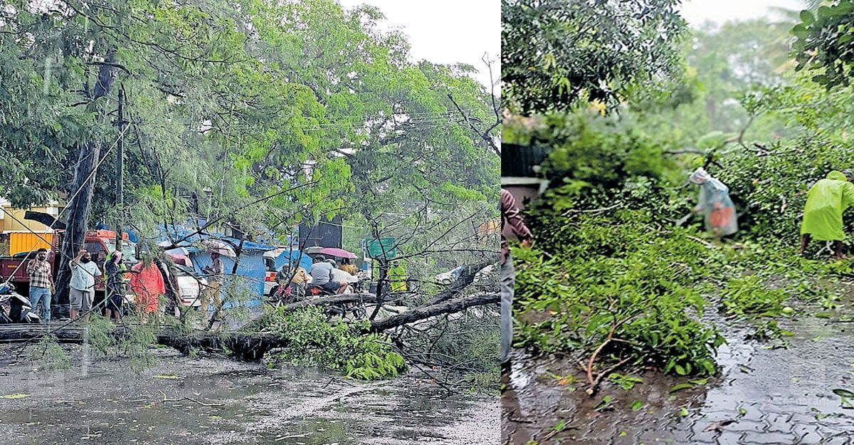 kodungallur-monsoon-impact.jpg