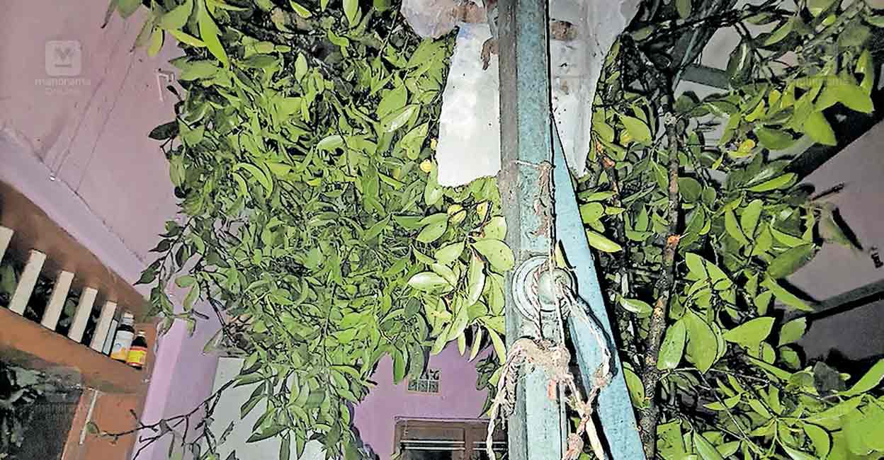kottayam-strom-damage-1.jpg