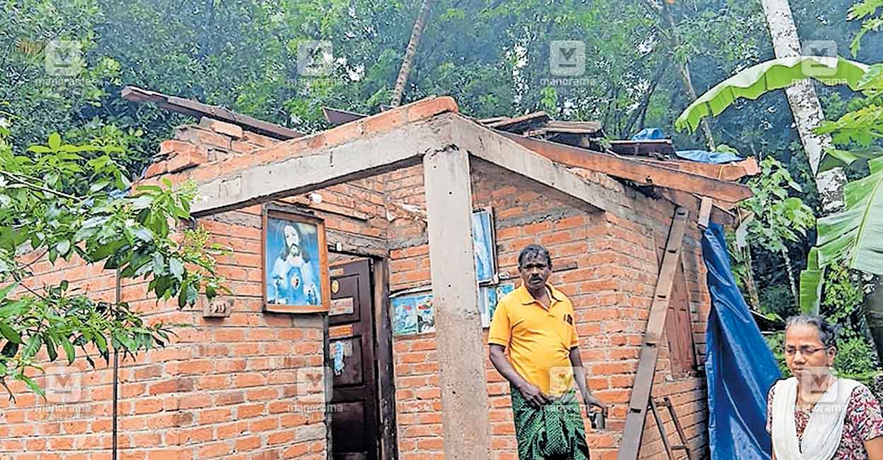 kottayam-wind-lashes.jpg