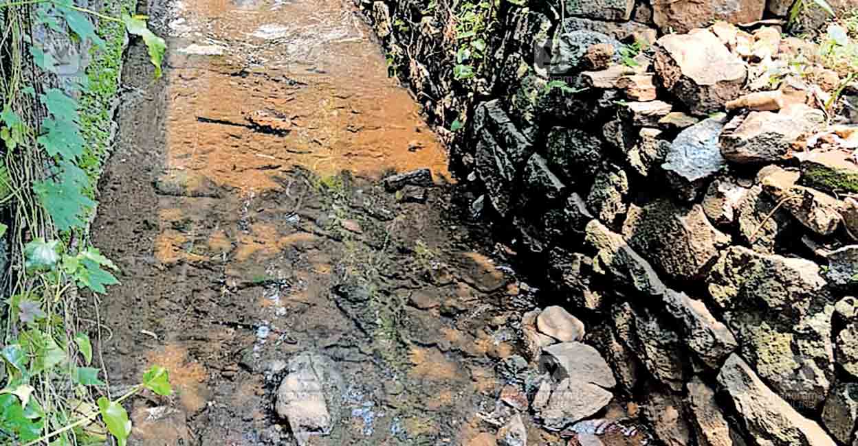 ktm-mundakkayam-stream.jpg