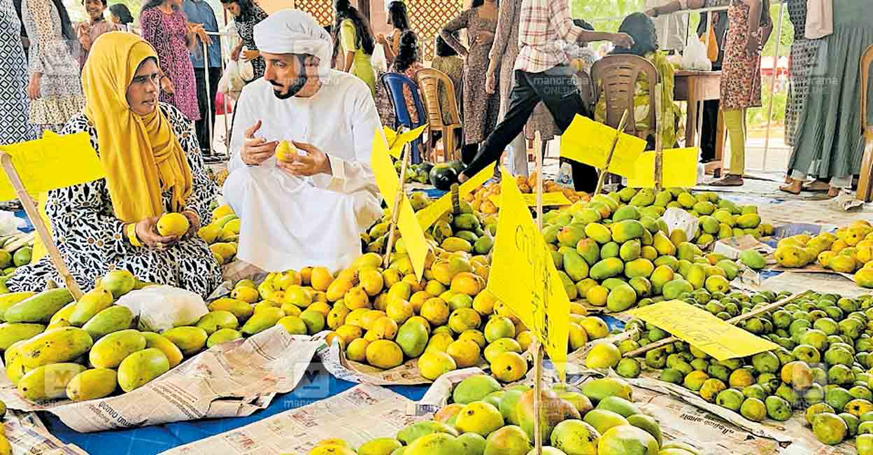 mango-fruit.jpg