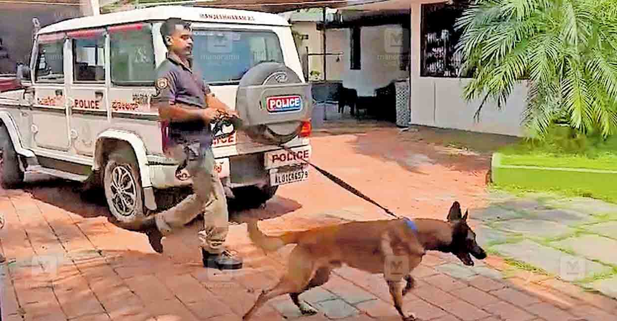 manjewsaram-dog-sqd.jpg