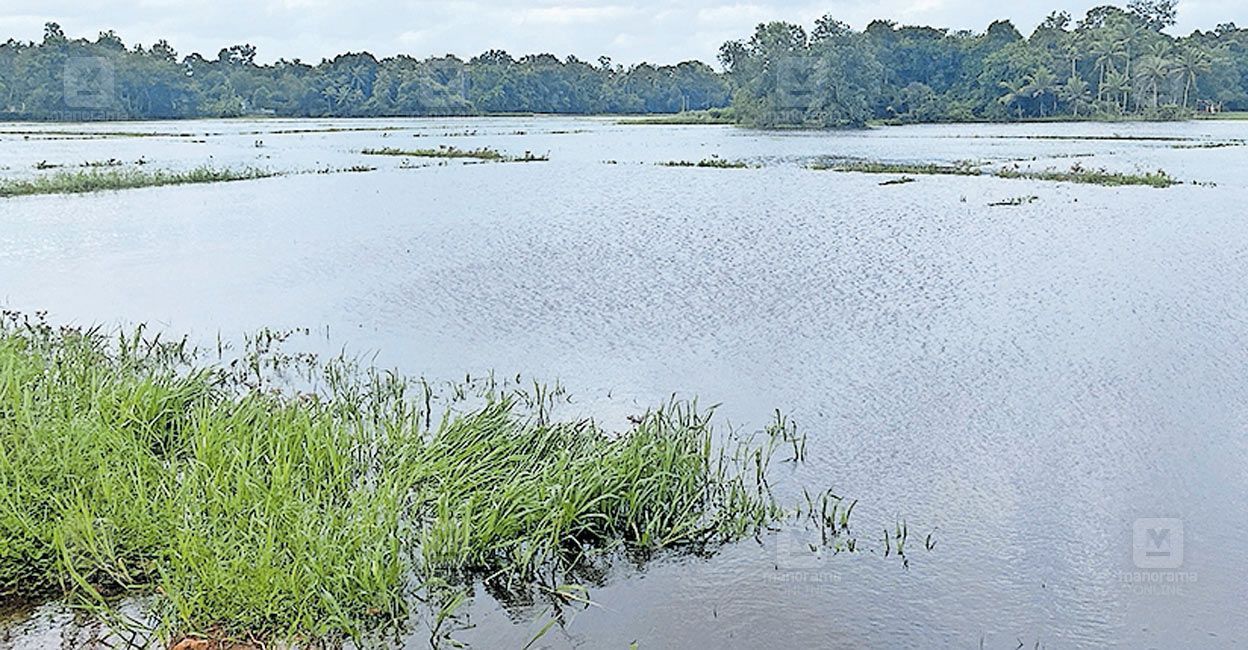 mannar-kerala-floods.jpg