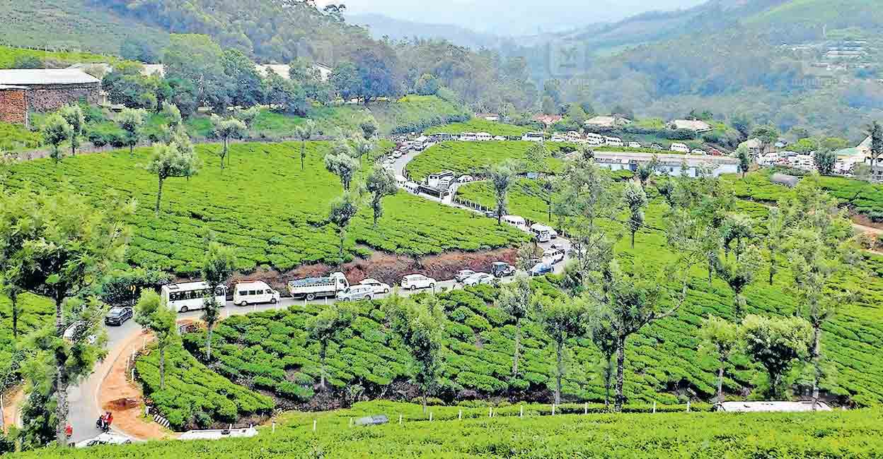 munnar-traffic-congestion.jpg