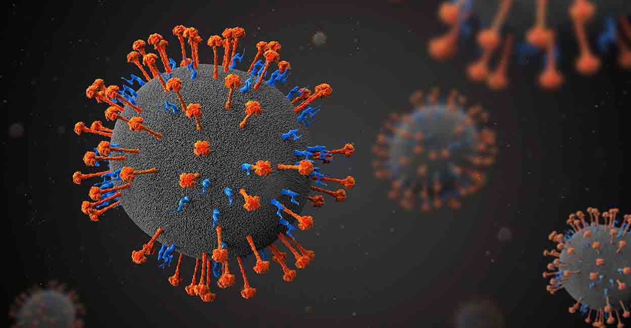 nipah-virus-1.jpg