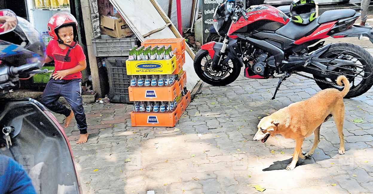 ns5-trivandrum-dog-issue.jpg