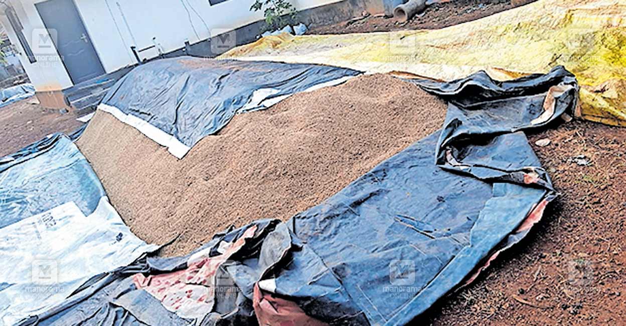 paddy-issue.jpg