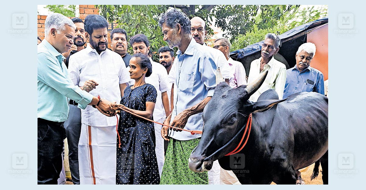 palakkad-farmer-receives-cattle-donation.jpg