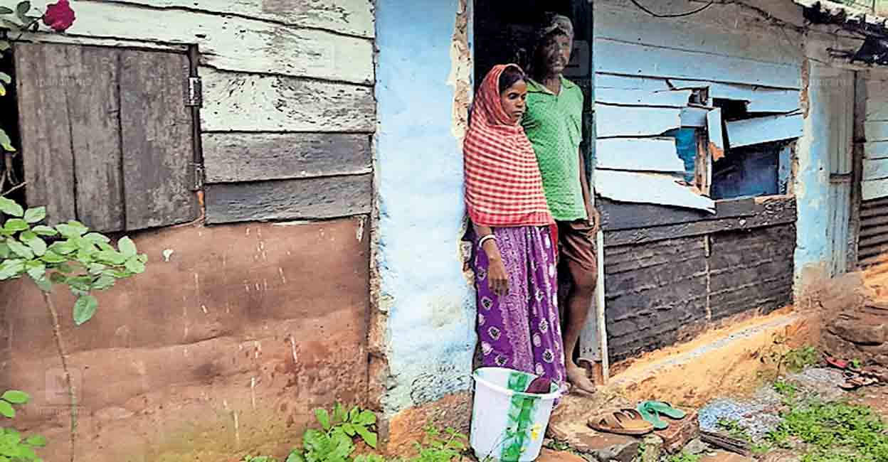 palakkad-wild-elephant-attack-nelliyampathy.jpg