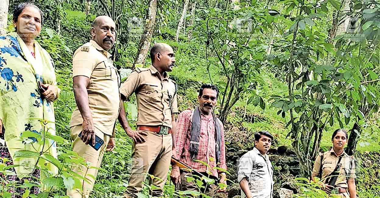 pathanamthitta-forest.jpg