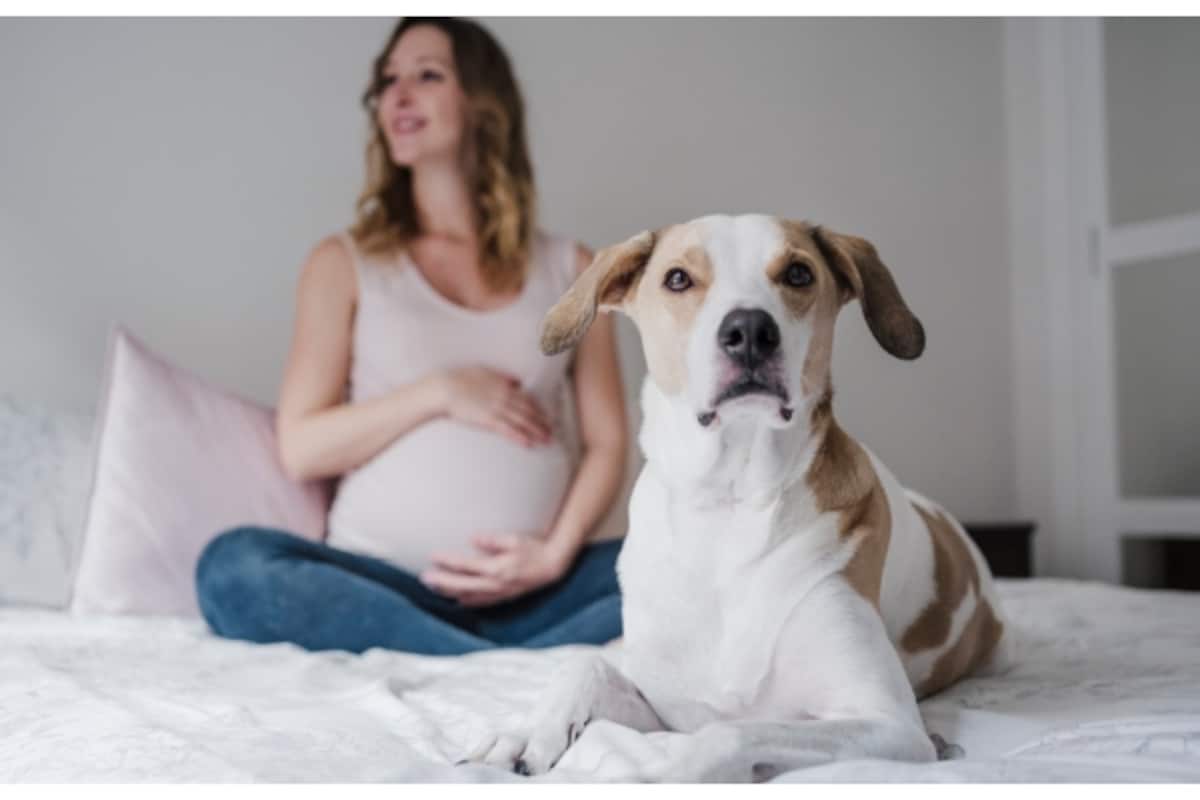 pregnant-woman-with-pet-dag_1200x800xt.jpg