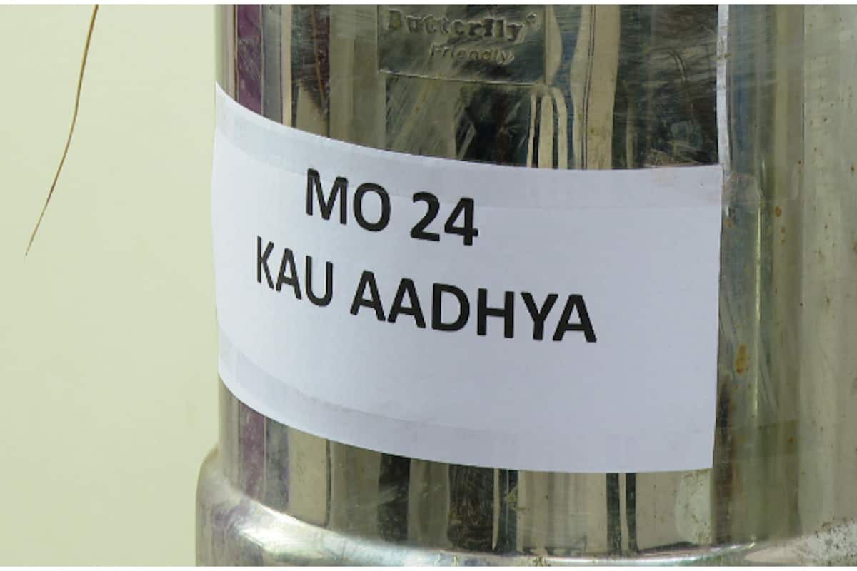 punya-and-adhya-seeds_1200x800xt.jpg
