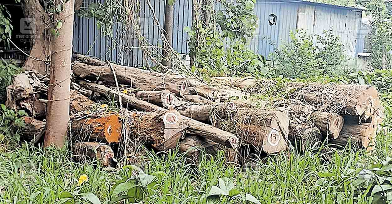 teak-wood.jpg