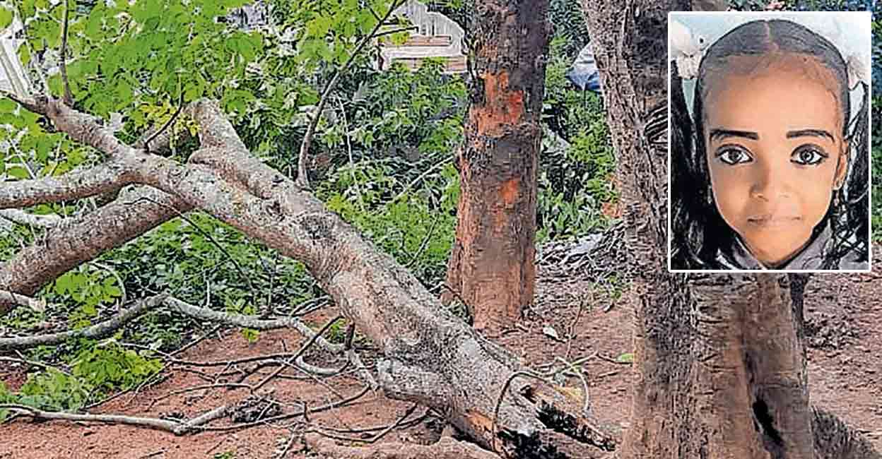thiruvananthapuram-tragedy-child-dies.jpg