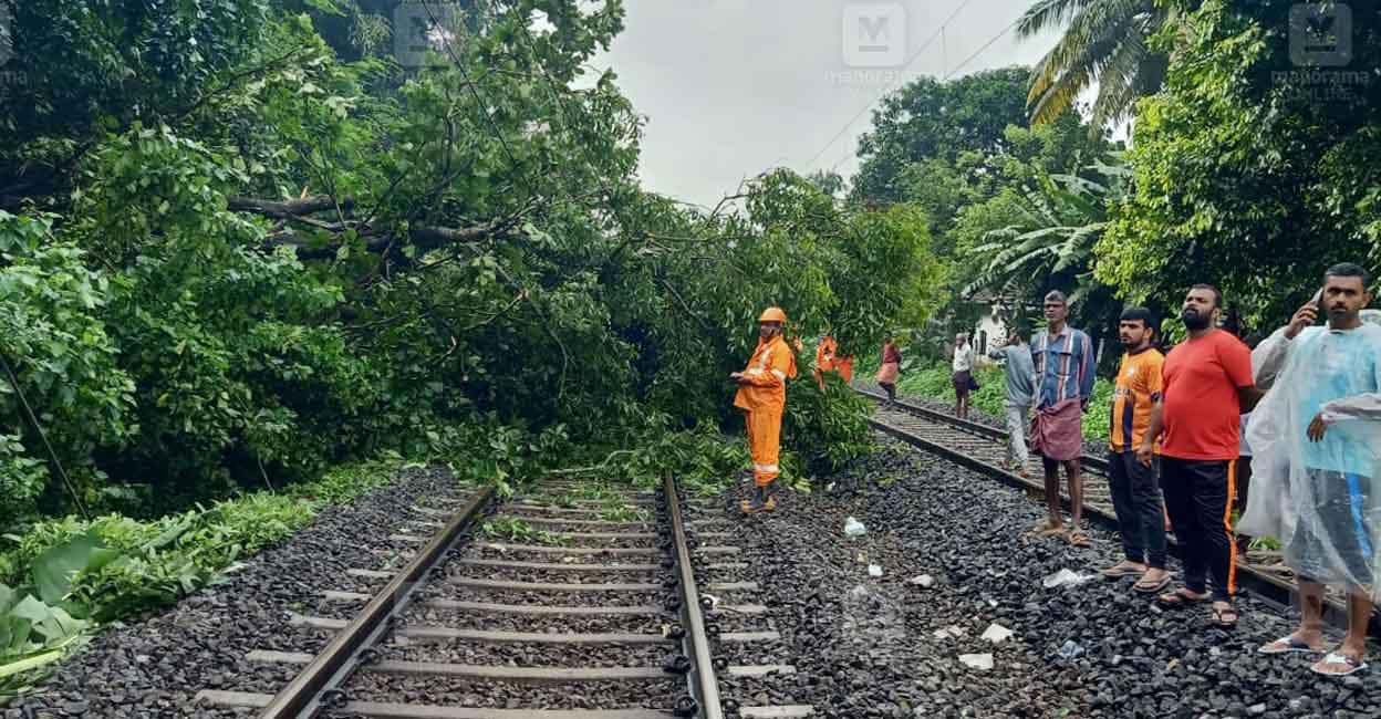 tree-fell-railway-track-kozhikode.jpg