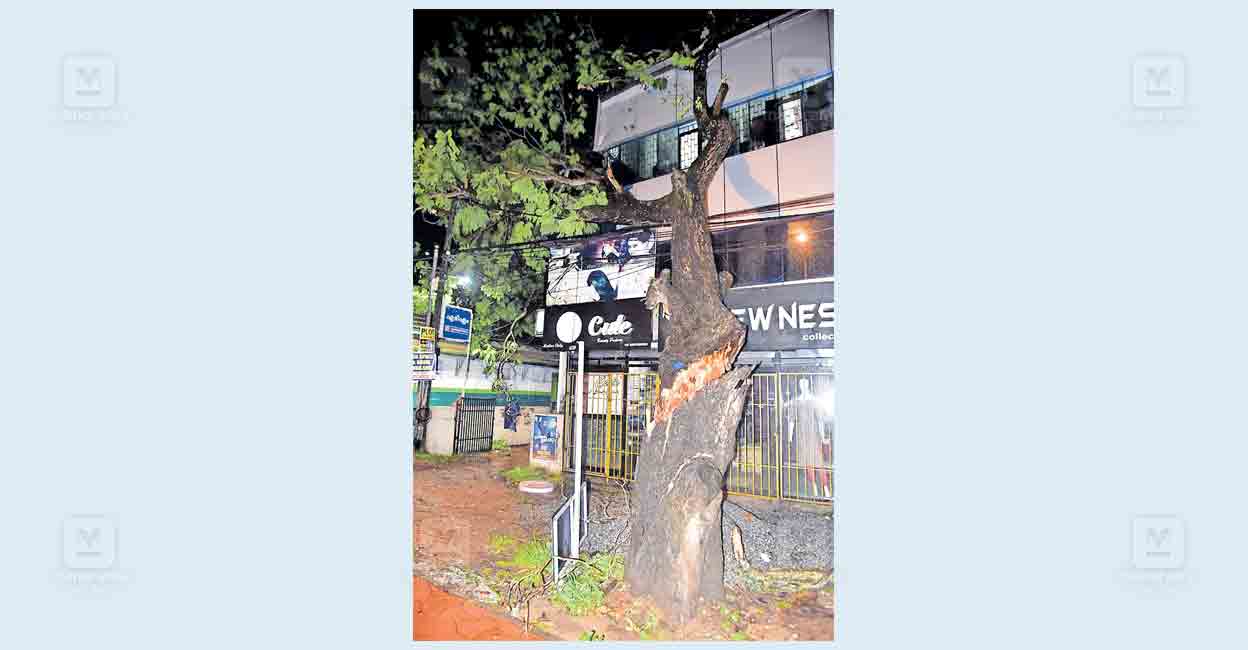 trivandrum-tree-accident.jpg