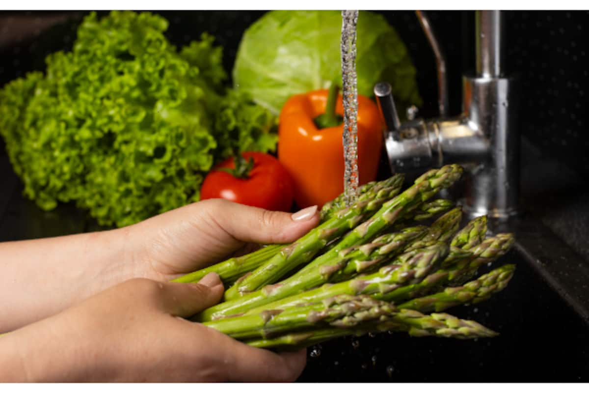 veggies_1200x800xt.jpg