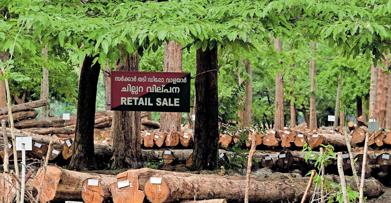 walayar-timber-depot-kerala.jpg
