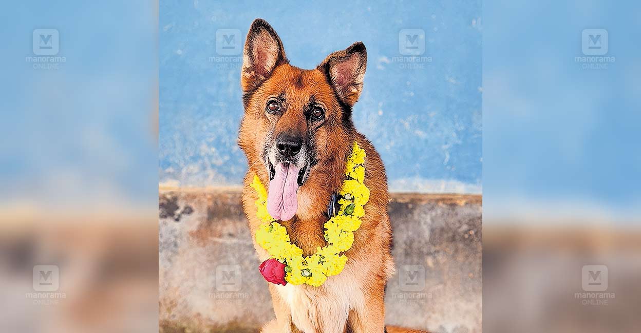 wayanad-kalpeta-police-dog.jpg