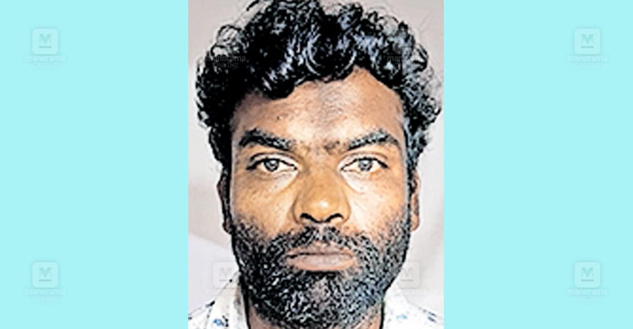 adimaly-robbery-arrest.jpg