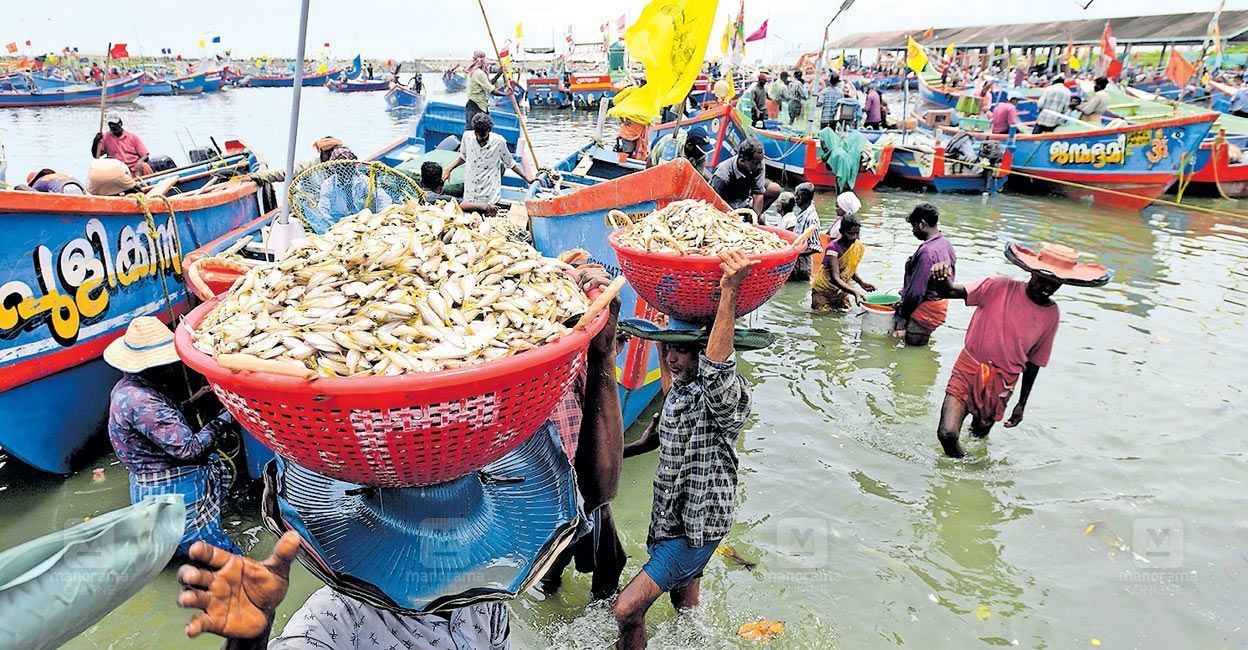alappuzha-fish-market-update.jpg