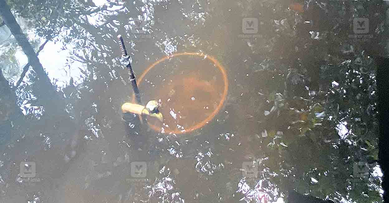 alappuzha-waterlogging-mannar-tap.jpg
