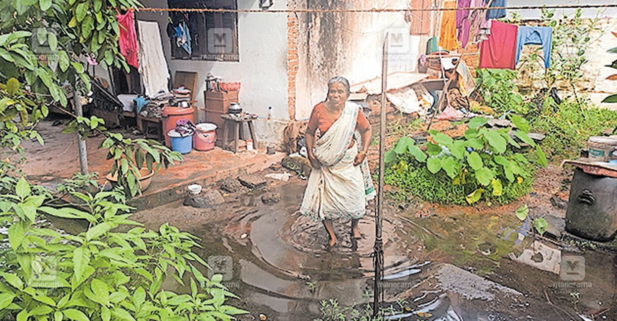 alp-water-logging1.jpg