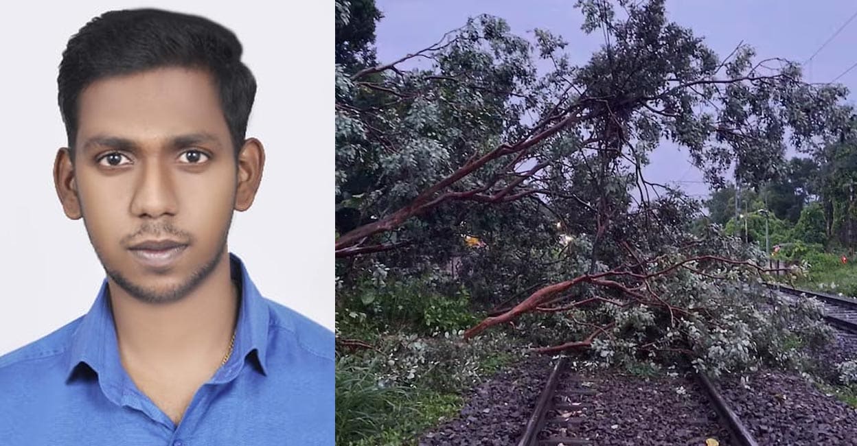 ananthu-tree-fall-train.jpg