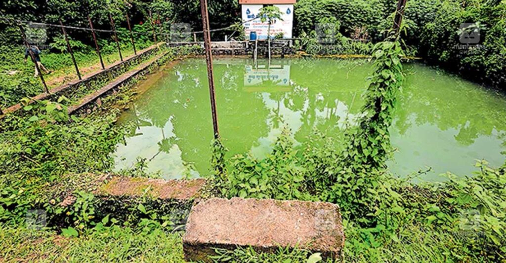 challoli-pond.jpg