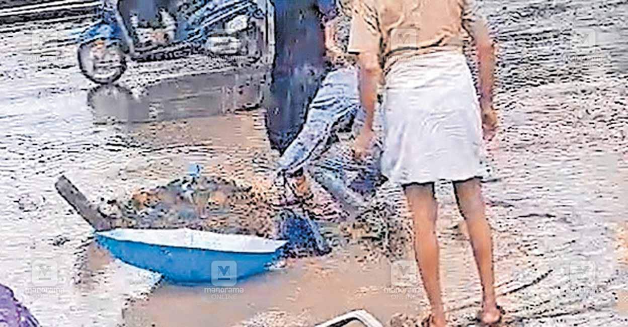 chandhirur-girl.jpg