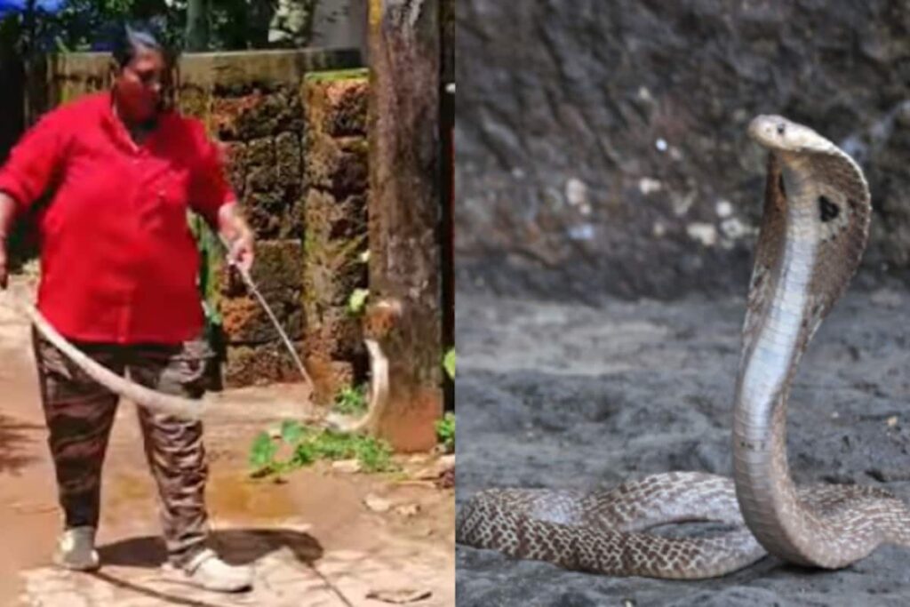 cobra-rescuer-t-p-usha_1200x800xt.jpg