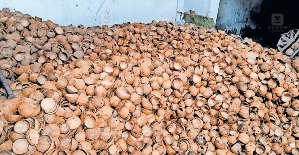 coconut-shell-1.jpg