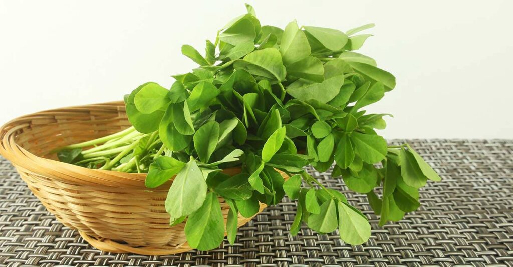 fenugreek-leaves.jpg