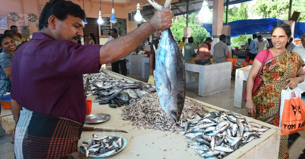 kaduthuruthy-fish-market-1.jpg