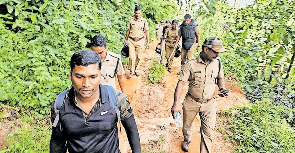 karuvarakund-tiger-searching.jpg