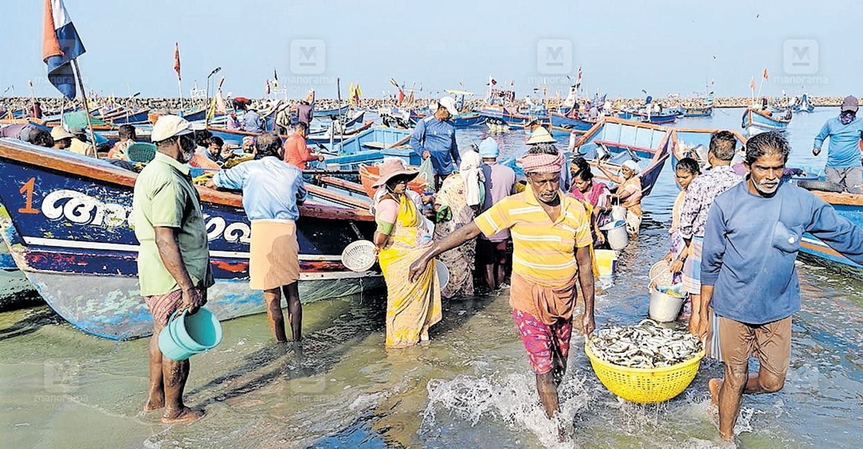 kerala-fishing-ban-impact-report.jpg