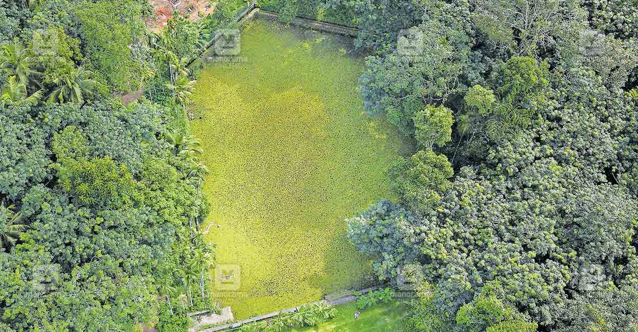 kollam-suranadu-pond.jpg