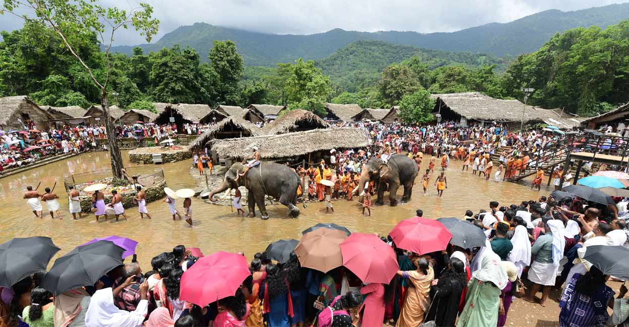 kottiyoor-ela-neer-vayppu.jpg