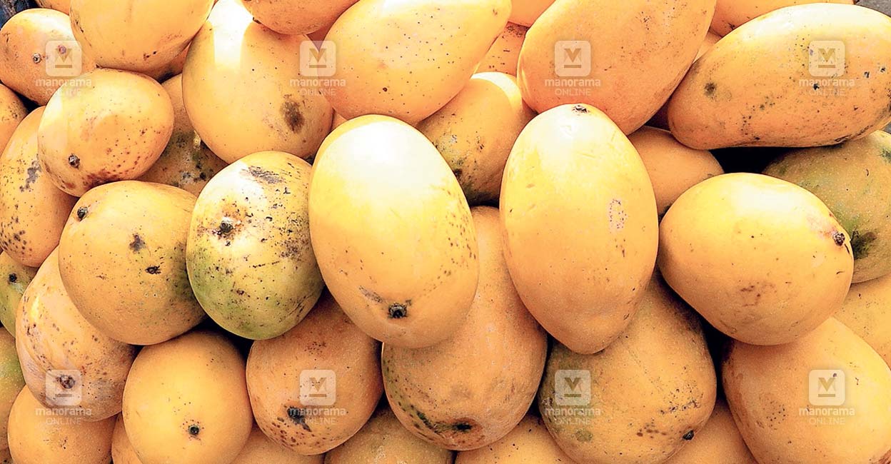 mango.jpg