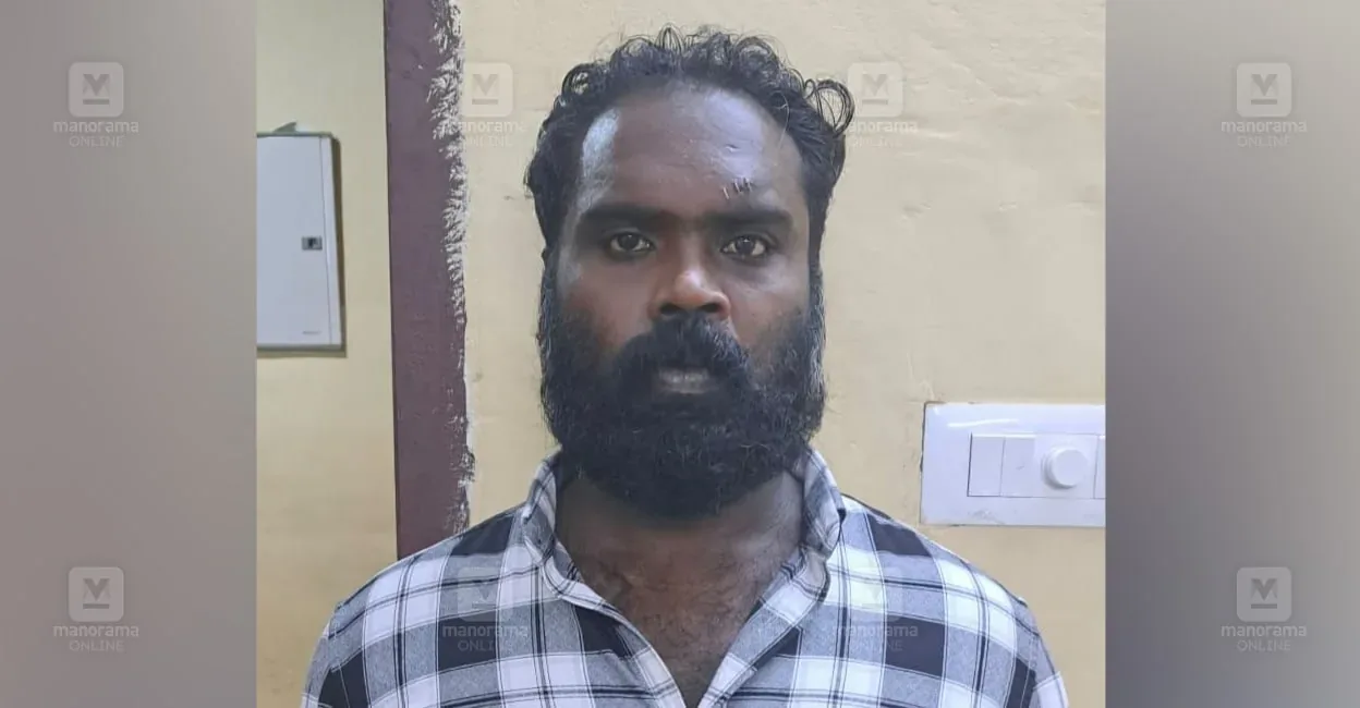 mannar-cannabis-arrest-1.jpg